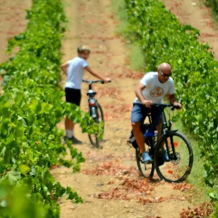 A Mo Casa Alojamento de Acomodação e Pequeno-almoço