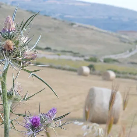 Alojamento de Acomodação e Pequeno-almoço A Mo Casa Comiso