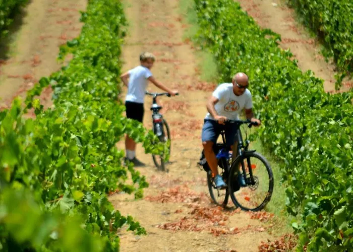 A Mo Casa 住宿加早餐酒店