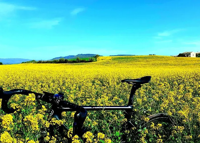 住宿加早餐酒店 A Mo Casa 科米索