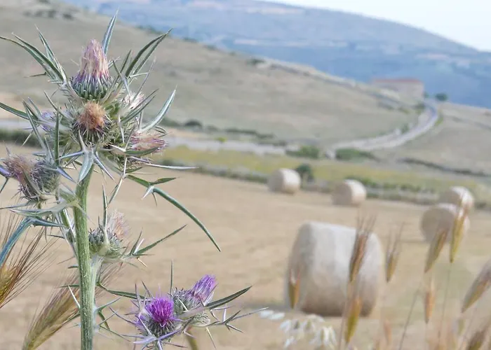 住宿加早餐酒店 A Mo Casa 科米索