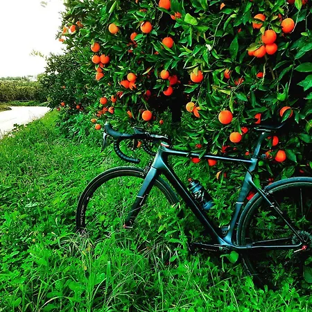 ベッド・アンド・ブレックファスト A Mo Casa