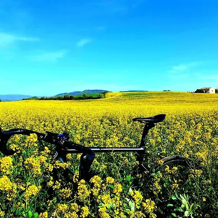 ベッド・アンド・ブレックファスト A Mo Casa コーミゾ